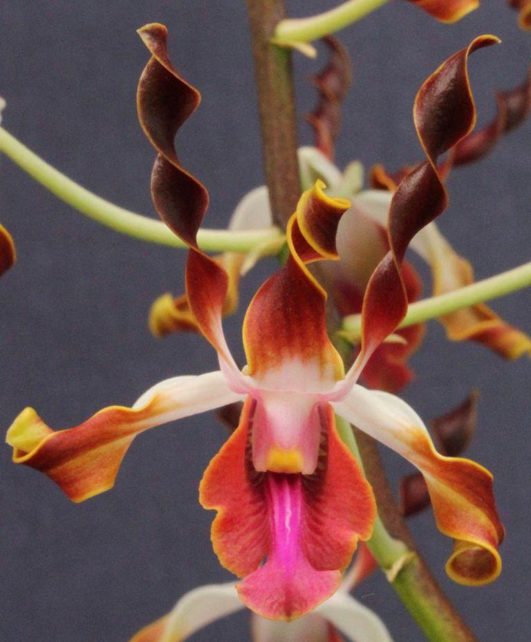 Den Riverside Secondary School